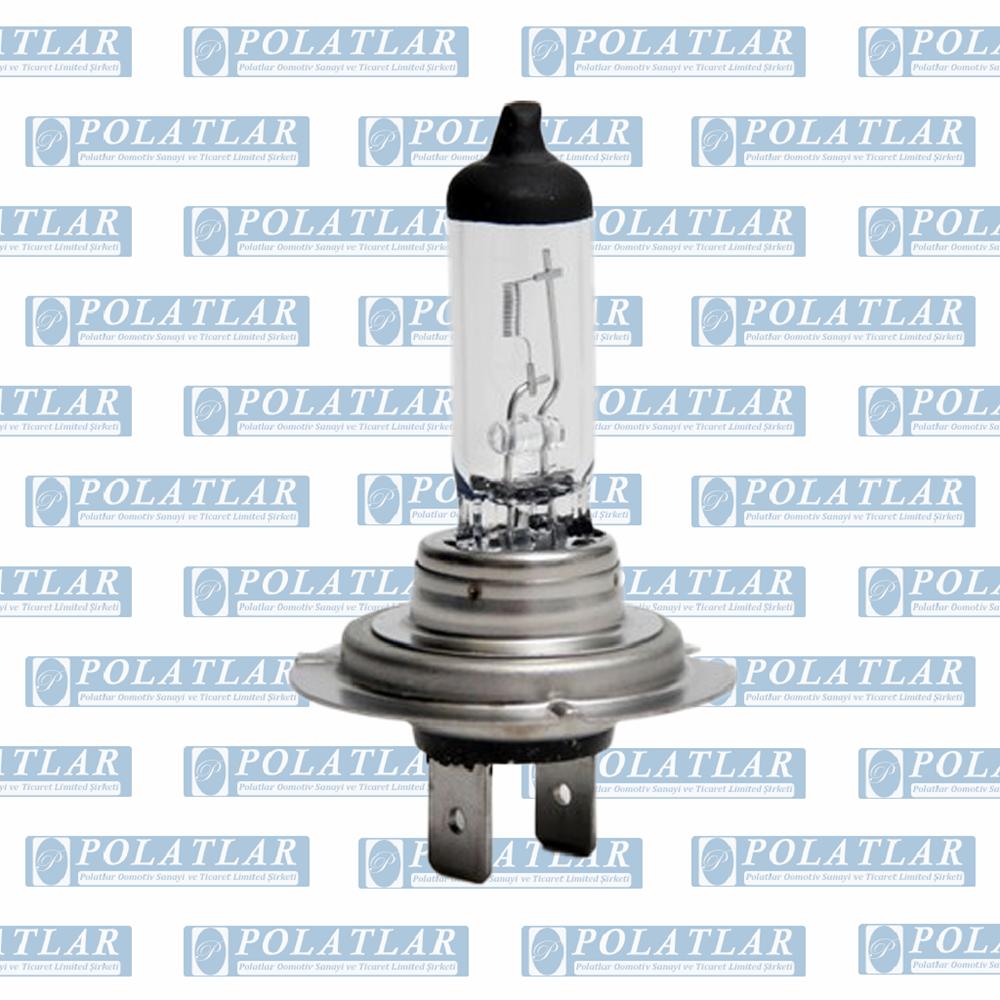 H7 12V 55W AMPUL