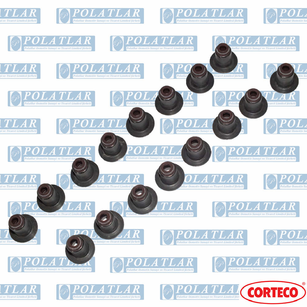 İVECO DAİLY C13 MOTOR 2.3 SUBAP EMME EGZOZ LASTİĞİ TK
