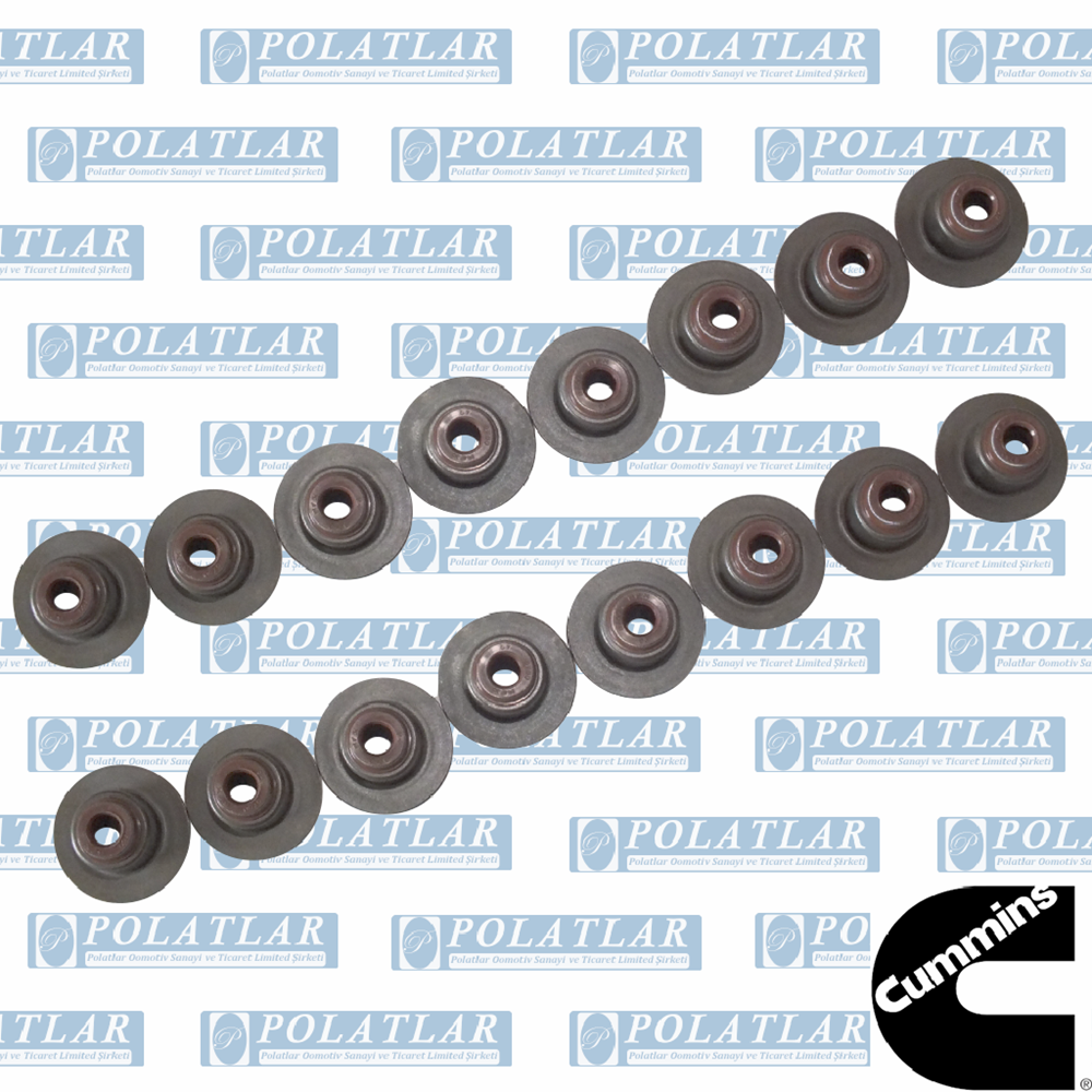 OTOKAR SULTAN MOTOR E5 EMME EGZOZ SUBAP LASTİĞİ (16)