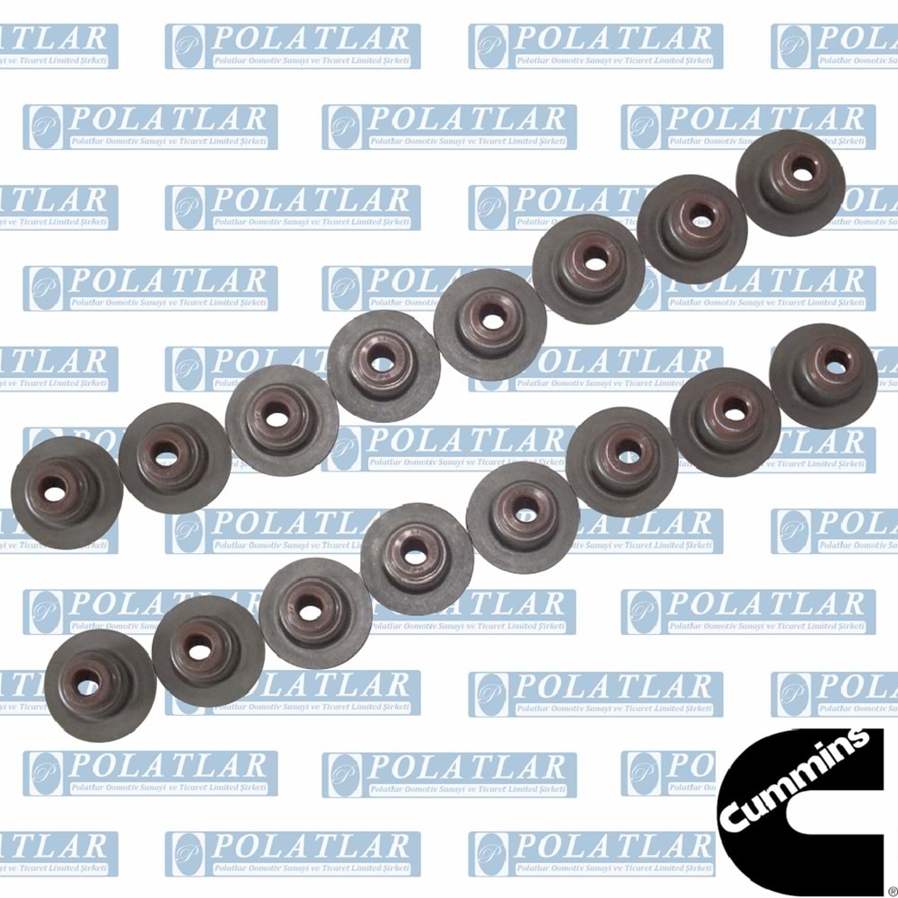 OTOKAR ATLAS MOTOR 3,8 E6 EMME EGZOZ SUBAP LASTİĞİ (16) TK