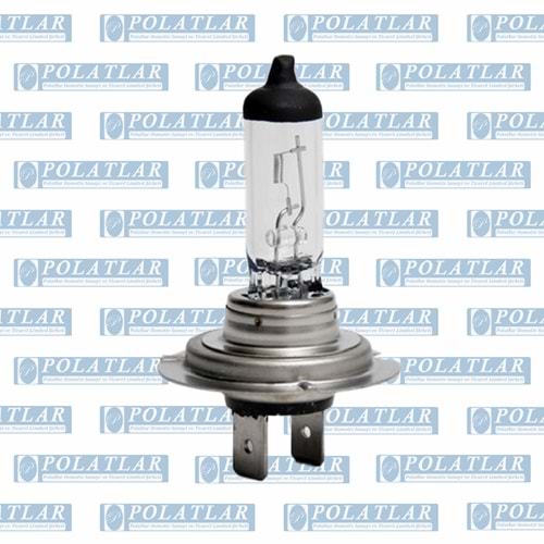 H7 12V 55W AMPUL