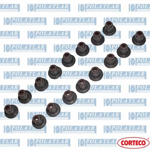 İVECO DAİLY C13 MOTOR 2.3 SUBAP EMME EGZOZ LASTİĞİ TK