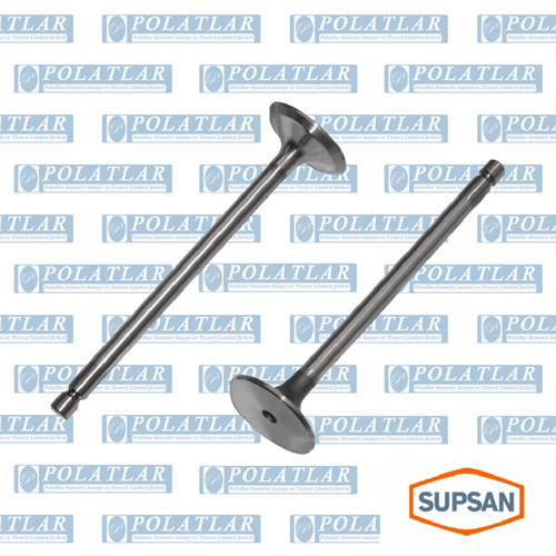 EUROCARGO E3 MOTOR 6CYL SUBAP EMME EGZOZ +05 2Lİ