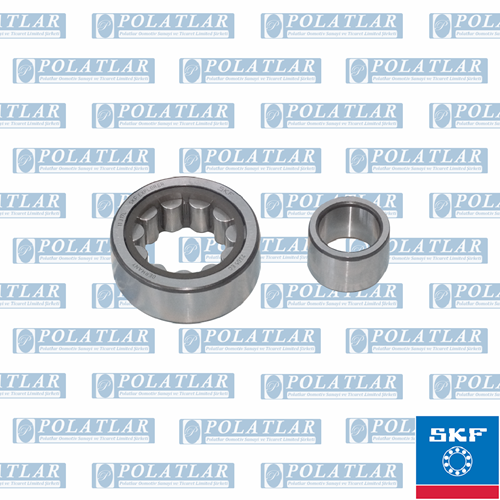 İVECO 120-14 DİFERANSİYEL MAHRUTİ RULMANI UÇ