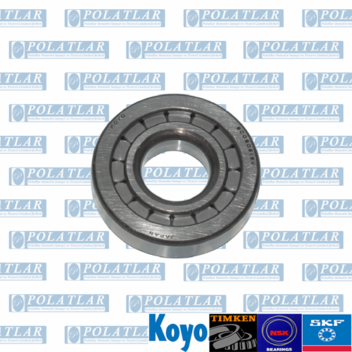 CANTER 859 DİFERANSİYEL MAHRUTİ RULMANI UÇ (E4)