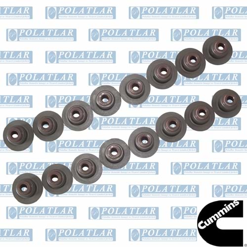OTOKAR ATLAS MOTOR 3,8 E6 EMME EGZOZ SUBAP LASTİĞİ (16) TK
