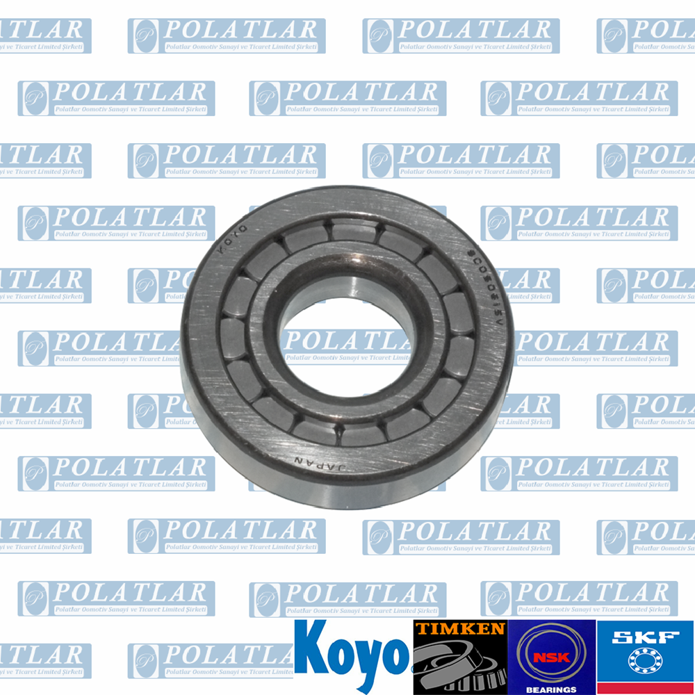 CANTER 859 DİFERANSİYEL MAHRUTİ RULMANI UÇ (E5)